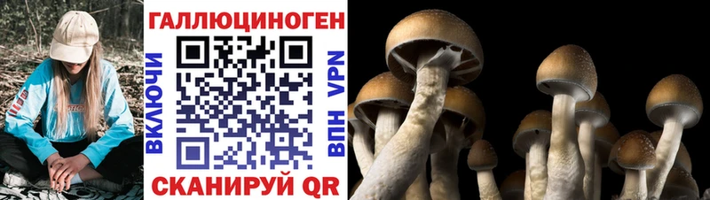 Галлюциногенные грибы Magic Shrooms  где найти   Егорьевск 